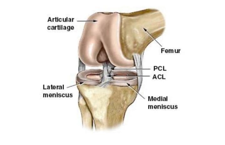 ACL image